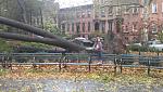 Hurricane/Superstorm Sarah 10-29-12.  Melhoney in picture, near Lacie's Brownstone in Brooklyn, NY.