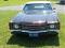 Chevelle_Nut