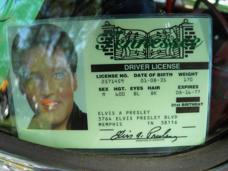 PA100095
Many of the vehicles had the Elvis drivers license posted in their window.